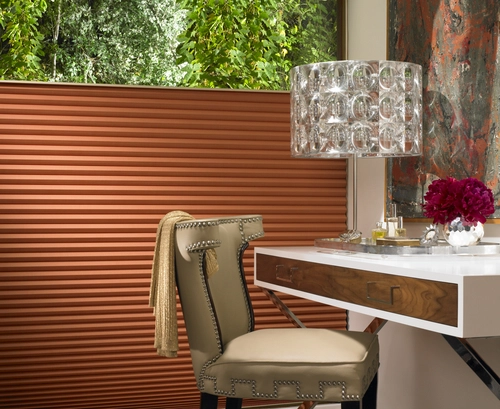 Hunter Douglas Window Shades